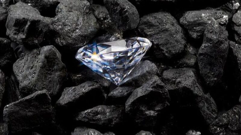 Câu nói “Áp lực tạo ra kim cương” đúng hay sai?