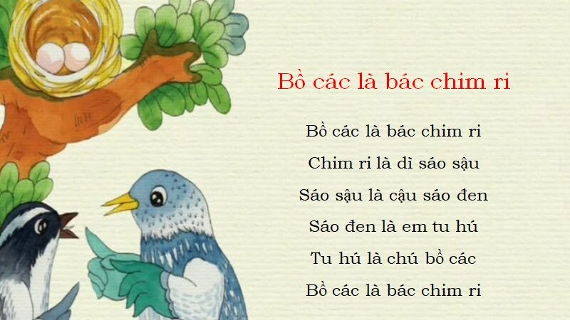 Đồng dao Bồ các là bác chim ri: Lời bài hát và giải thích mối quan hệ các loài chim