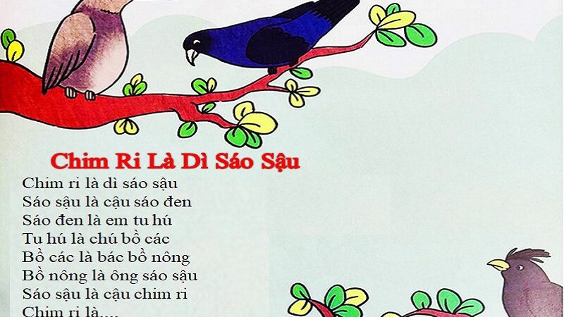 Đồng dao Chim ri là dì sáo sậu: Nội dung chi tiết